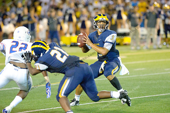 VM12039