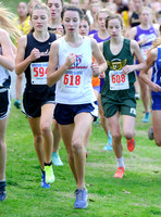 WIAA WCD III 3A Girls 11/1/14