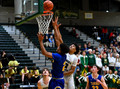 VM67040